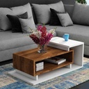 MDF Wood Coffee Table Brown and White - 90x50x35 cm