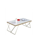 Steel Coffee Table Gold - 45x55x100 cm