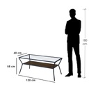 Steel and Glass Coffee Table Black - 55x40x120 cm