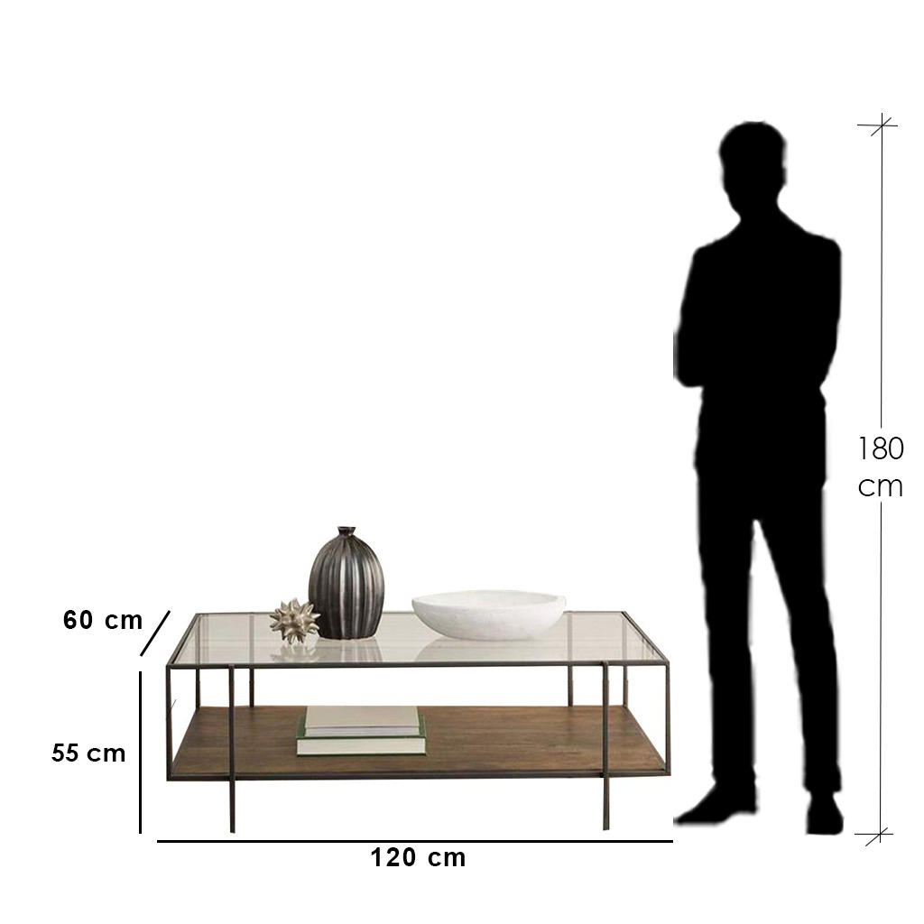 Steel and Glass Coffee Table Black- 55x60x120 cm