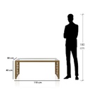 Steel and Glass Coffee Table Gold - 110x50x45 cm