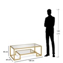 Steel and Glass Coffee Table Gold - 45x60x120 cm