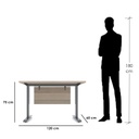 AR.Metaldesk12 Desk - Brown&Gray