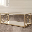 Steel and Glass Coffee Table Gold - 50x60x80 cm