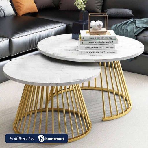 Steel and Marble Coffee Table Set Gold - 2 Pieces